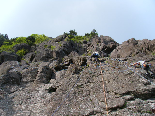 p0005.jpg