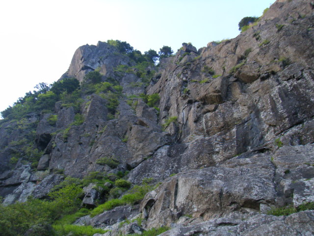 p0016.jpg