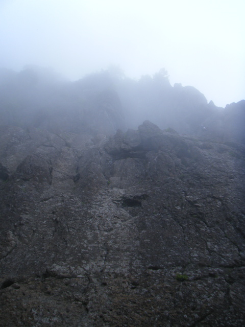 p0017.jpg