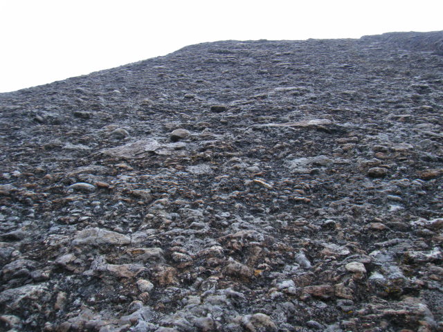 p0018.jpg