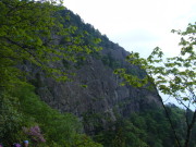 p0000.jpg
