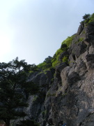 p0004.jpg