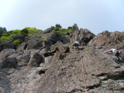 p0005.jpg