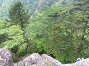 p0007.jpg
