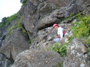 p0008.jpg