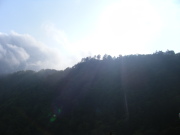 p0012.jpg