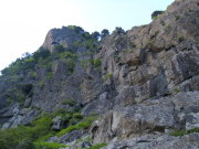 p0016.jpg