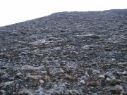 p0018.jpg