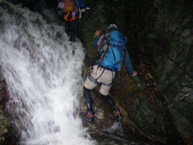 p0002.jpg