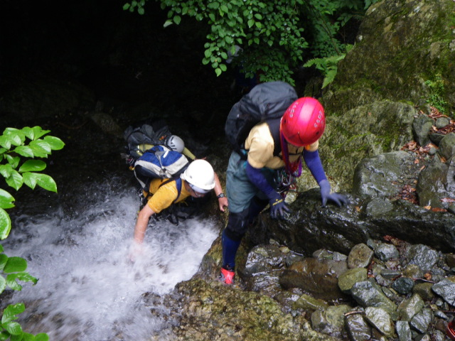 p0007.jpg
