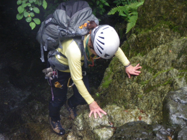 p0008.jpg