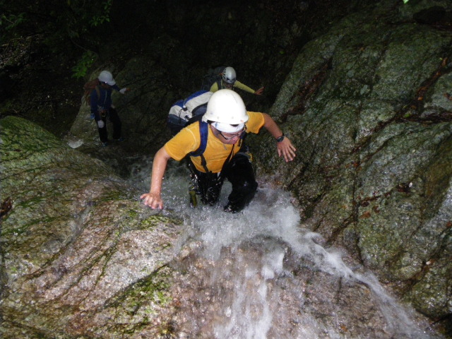 p0015.jpg