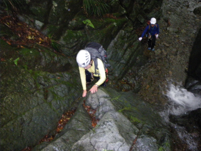p0017.jpg