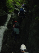p0005.jpg