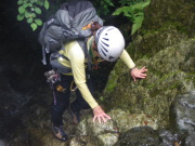 p0008.jpg
