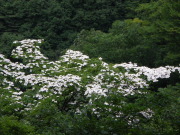 p0032.jpg