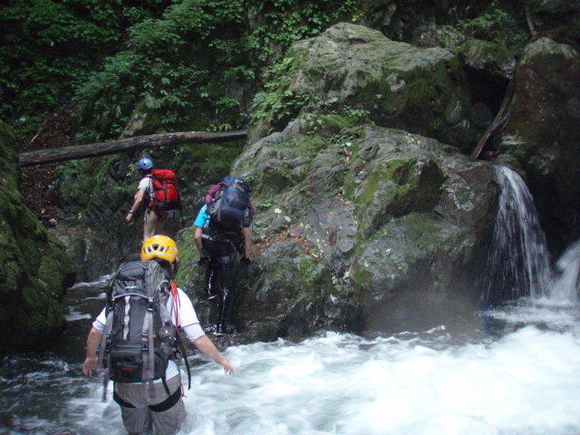 p0005.jpg