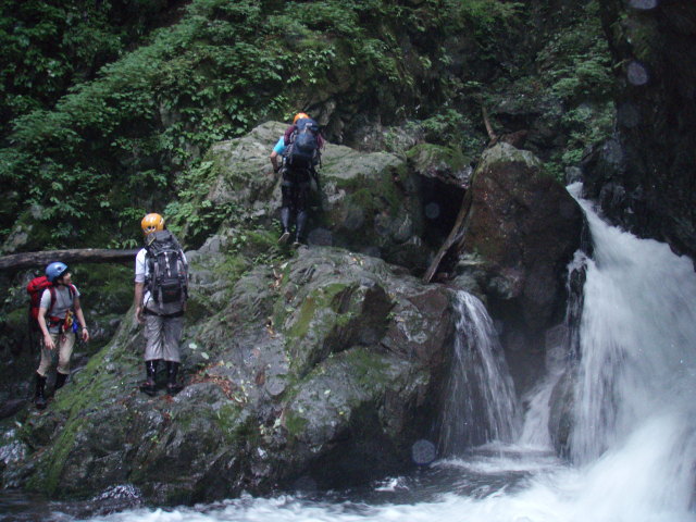 p0006.jpg