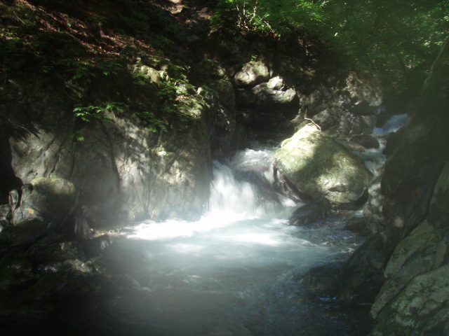 p0012.jpg