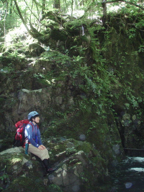 p0020.jpg