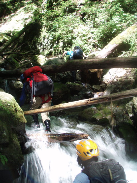 p0026.jpg
