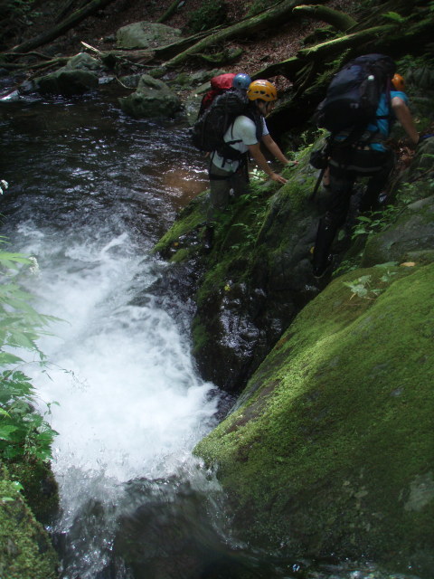 p0035.jpg