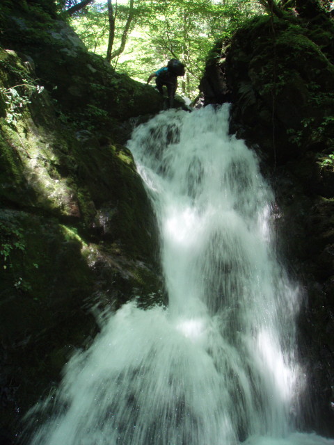 p0041.jpg