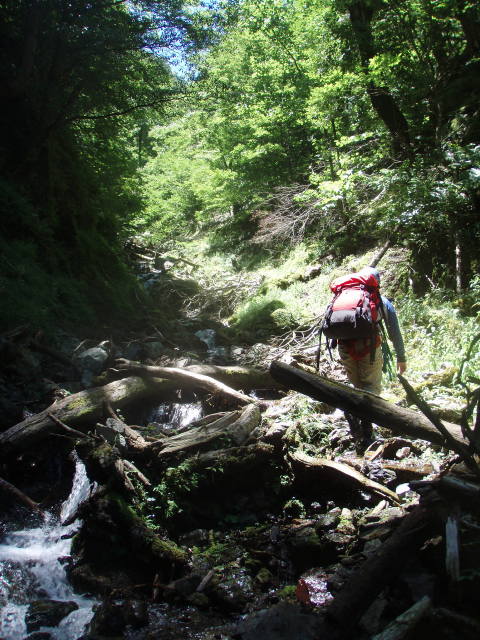 p0043.jpg