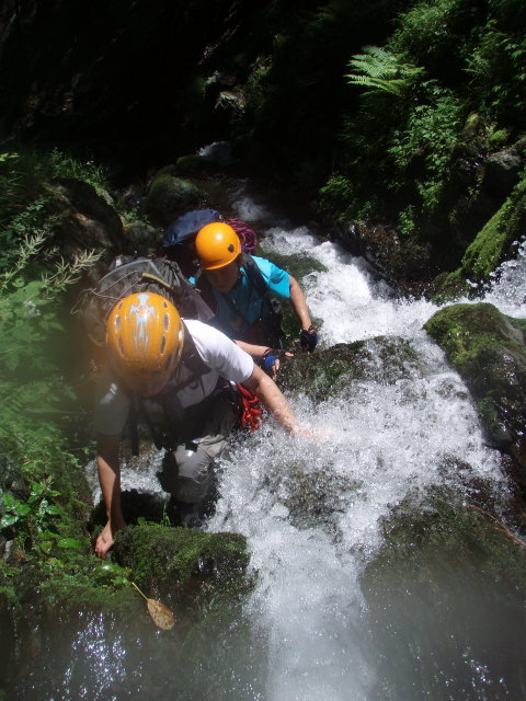 p0045.jpg