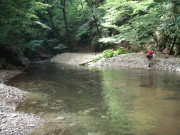 p0003.jpg