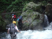 p0005.jpg