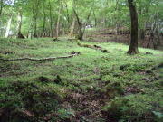 p0009.jpg
