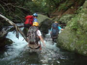 p0017.jpg