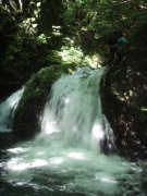 p0019.jpg