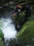 p0035.jpg