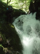p0040.jpg