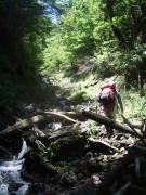 p0043.jpg