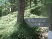 p0048.jpg