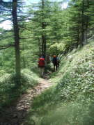 p0049.jpg