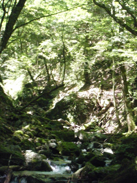 p0004.jpg
