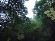 p0001.jpg