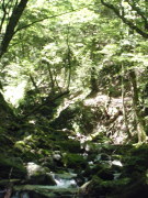 p0004.jpg
