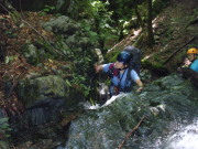 p0006.jpg