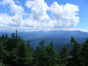 p0007.jpg
