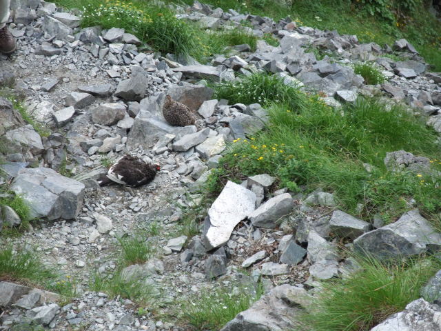 p0036.jpg
