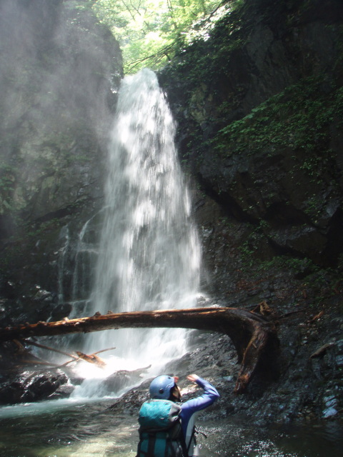 p0005.jpg