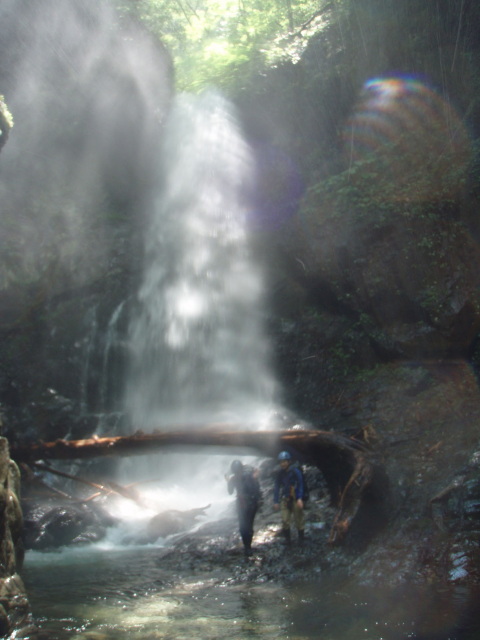 p0006.jpg