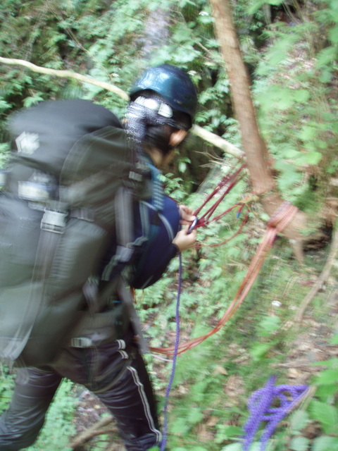 p0010.jpg