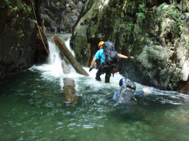 p0013.jpg