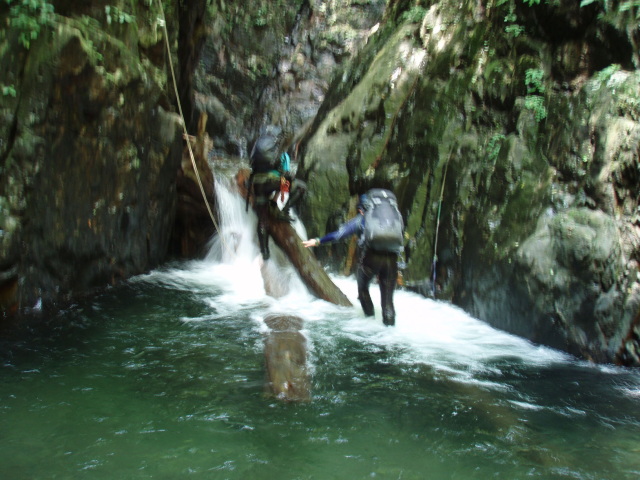 p0014.jpg
